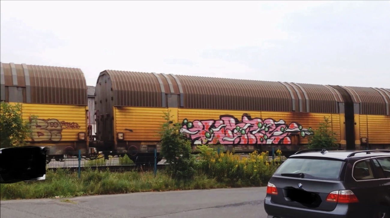 Graffiti Train - Photo by ZUGZWANG - burns