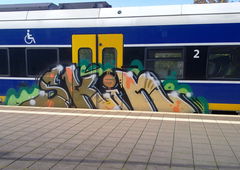 Graffiti Train - Photo by ZUGZWANG - skin (2015)