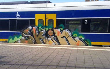 Graffiti Train - Photo by ZUGZWANG - skin (2015)