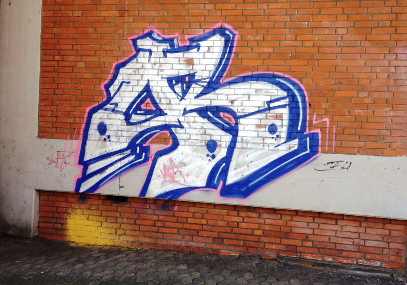 Graffiti Bombing - Photo by ZUGZWANG