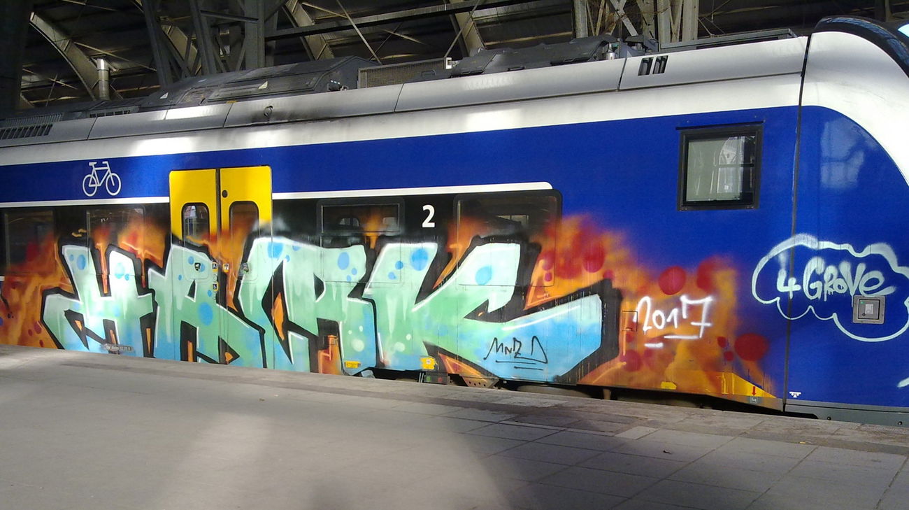 Graffiti Train - Photo by ZUGZWANG - hark (2017)