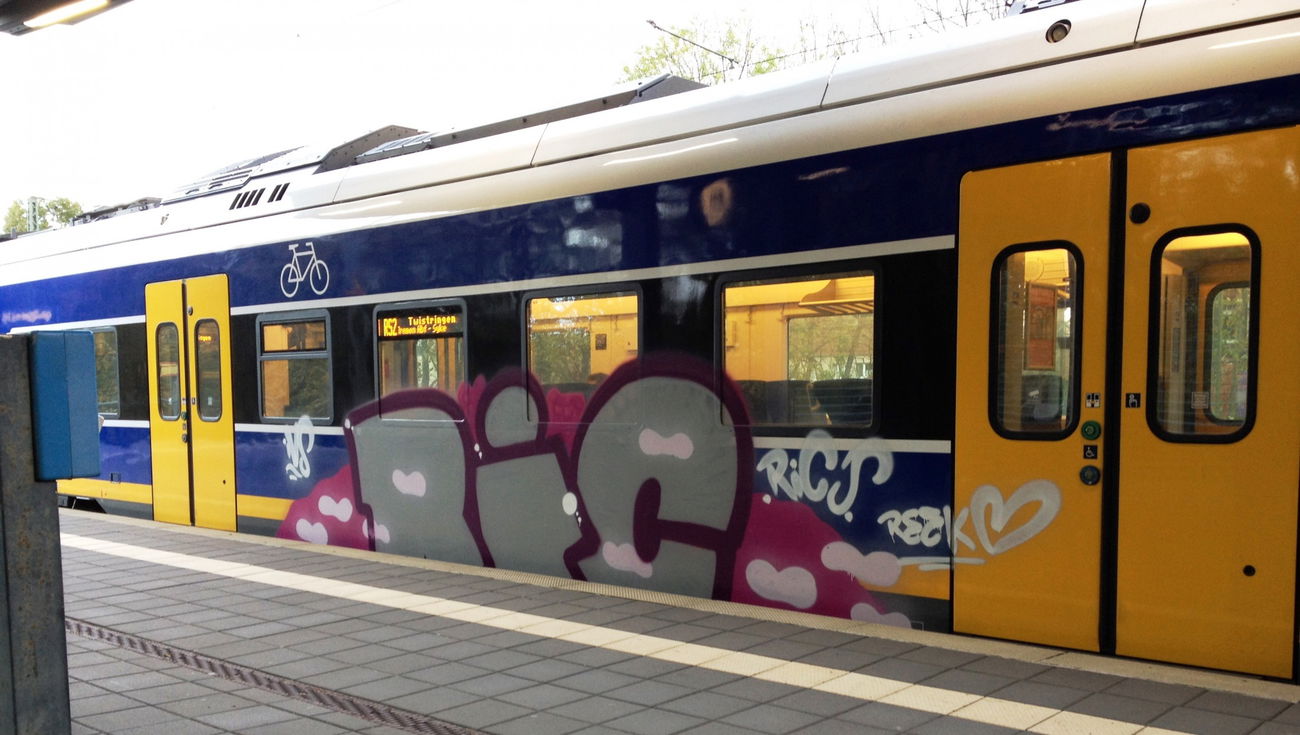 Graffiti Train - Photo by ZUGZWANG - ric (2017)