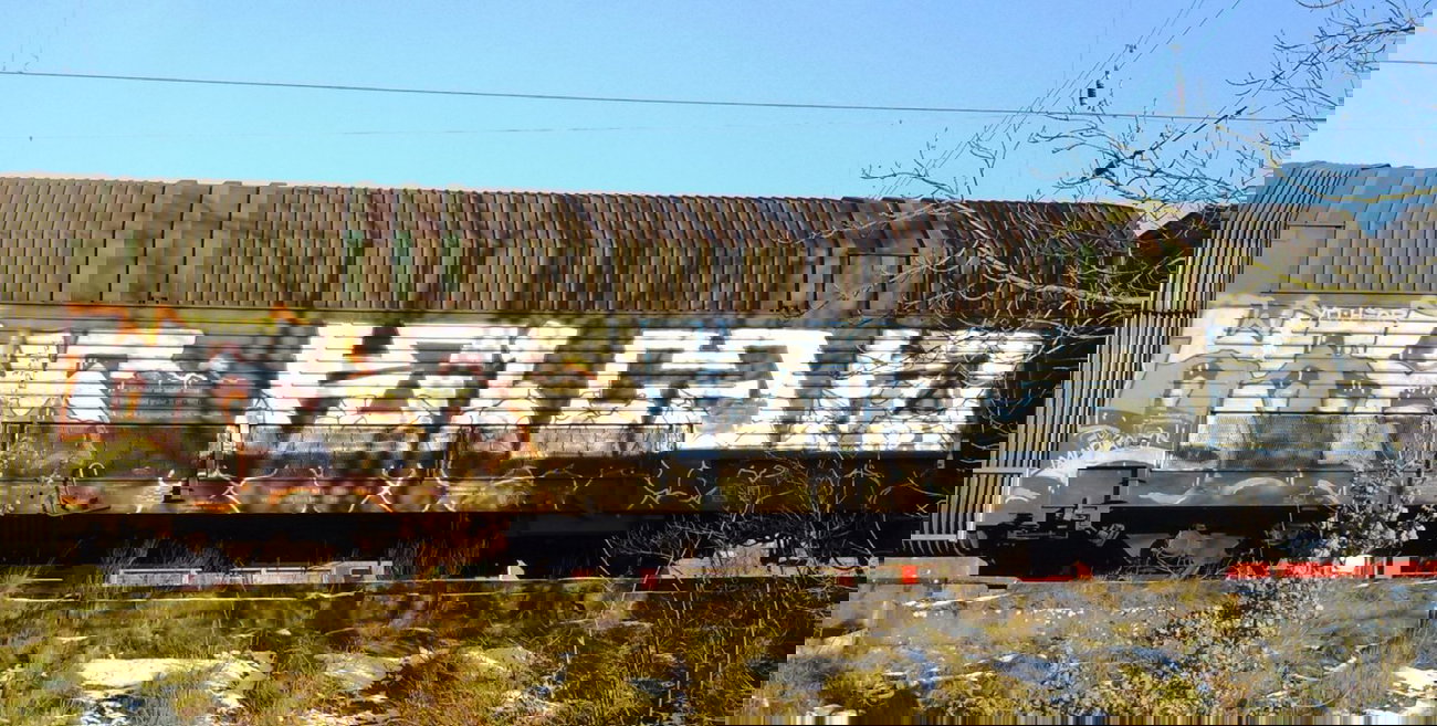 Graffiti Train - Photo by ZUGZWANG - bremerhaven