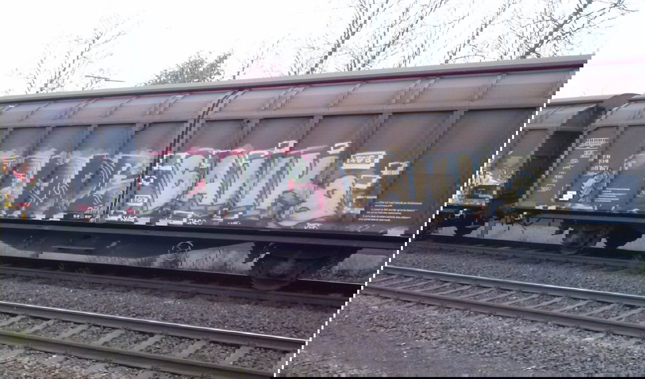 Graffiti Train - Photo by ZUGZWANG - bank, bremerhaven, 27 (2010)