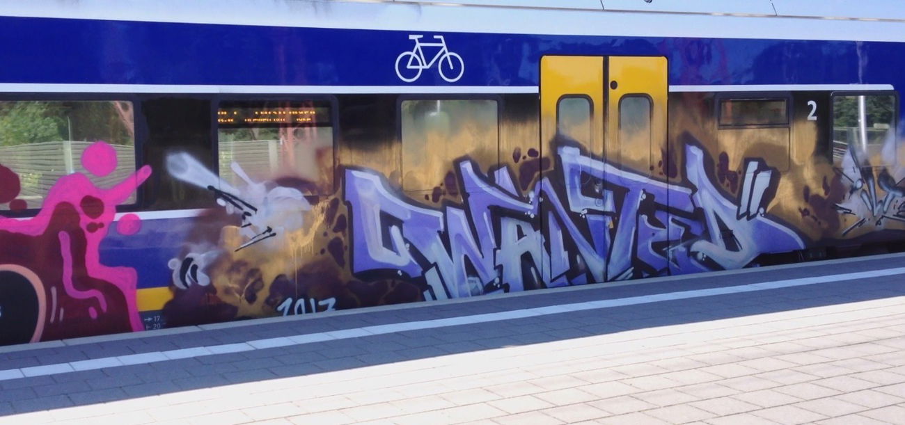 Graffiti Train - Photo by ZUGZWANG - wanted (2017)