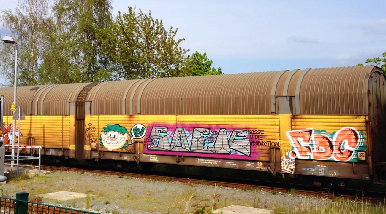 Graffiti Train - Photo by ZUGZWANG