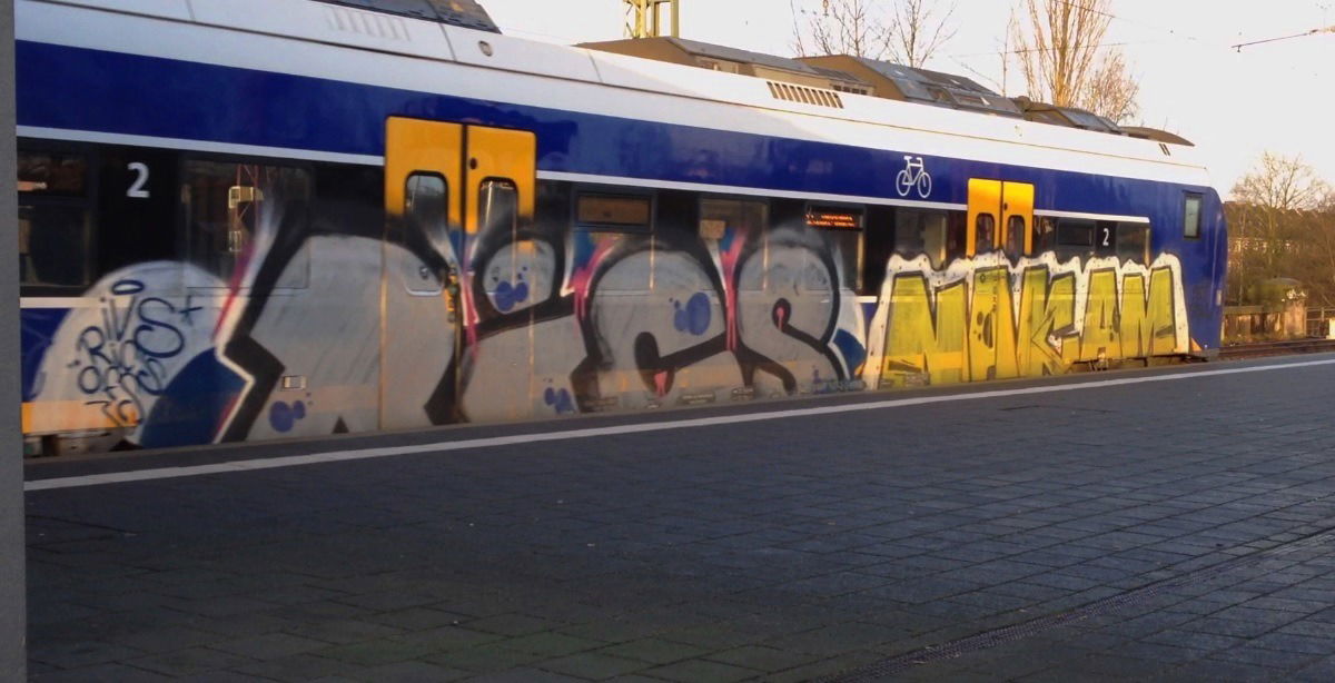 Graffiti Train - Photo by ZUGZWANG - ric, nakam (2017)