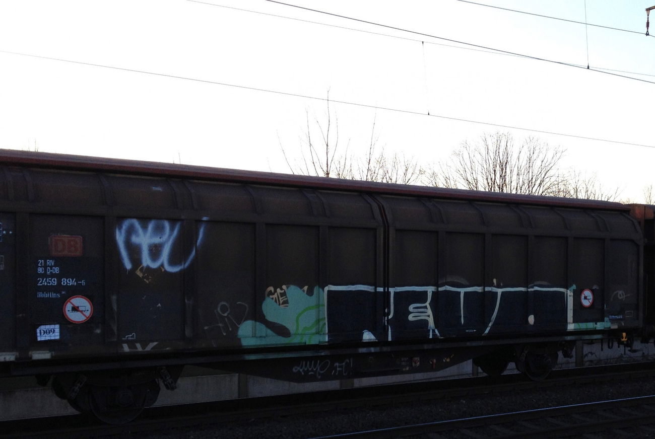 Graffiti Train - Photo by ZUGZWANG - revo