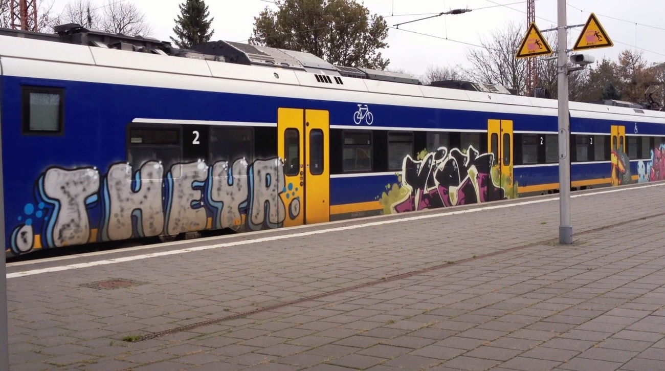Graffiti Train - Photo by ZUGZWANG - theyr, niek (2017)