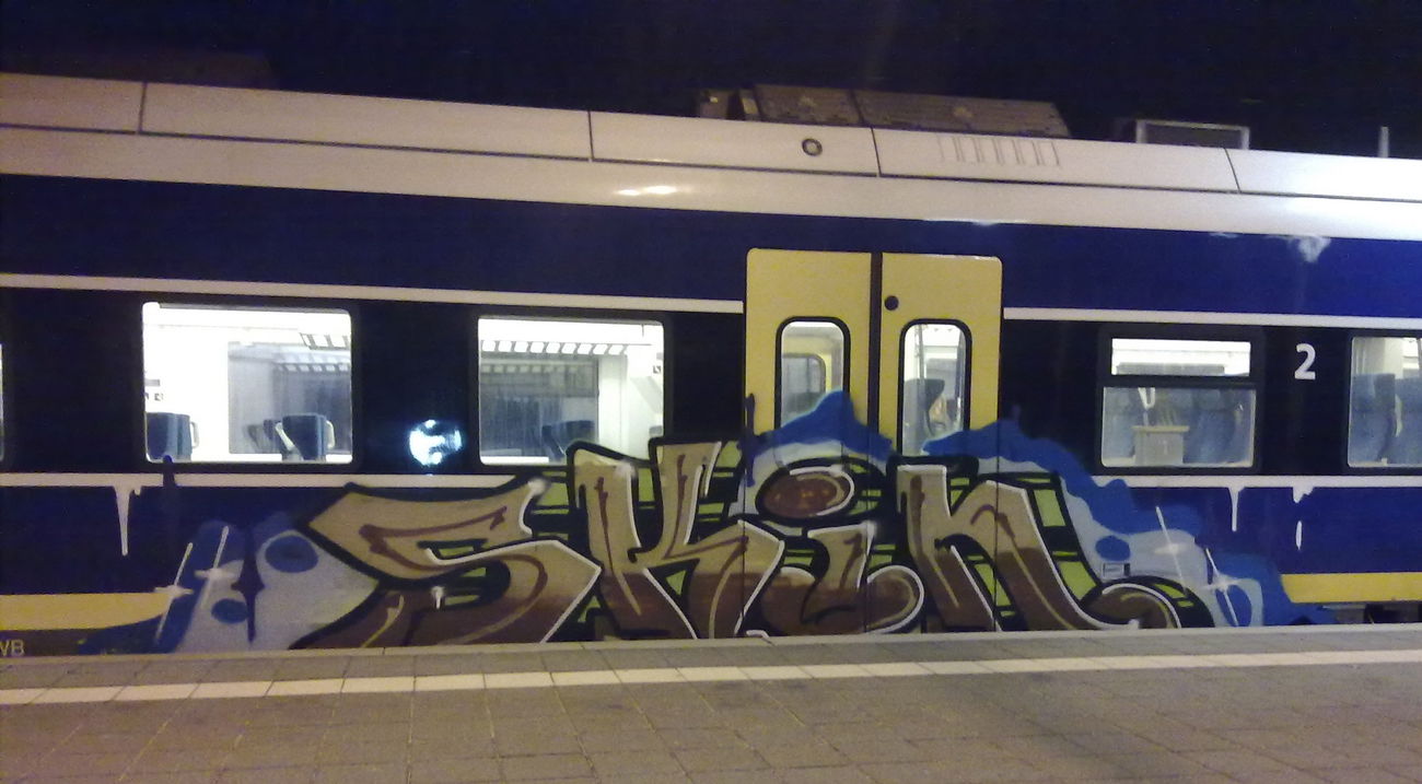 Graffiti Train - Photo by ZUGZWANG - skin (2016)