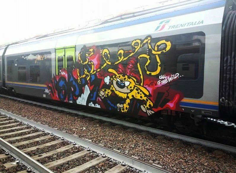 Graffiti Train - Photo by ZUGZWANG