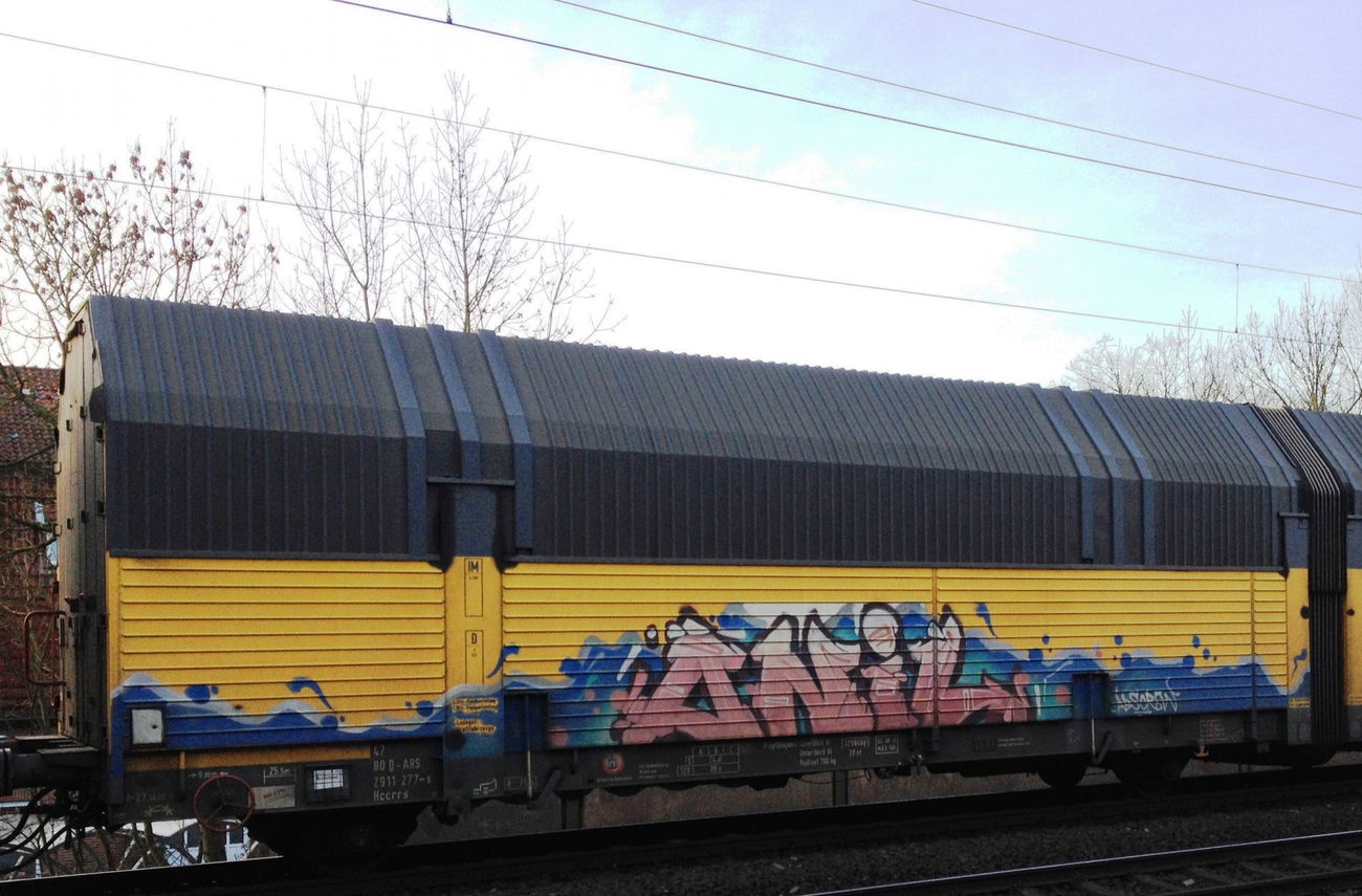Graffiti Train - Photo by ZUGZWANG - onil, alsoe