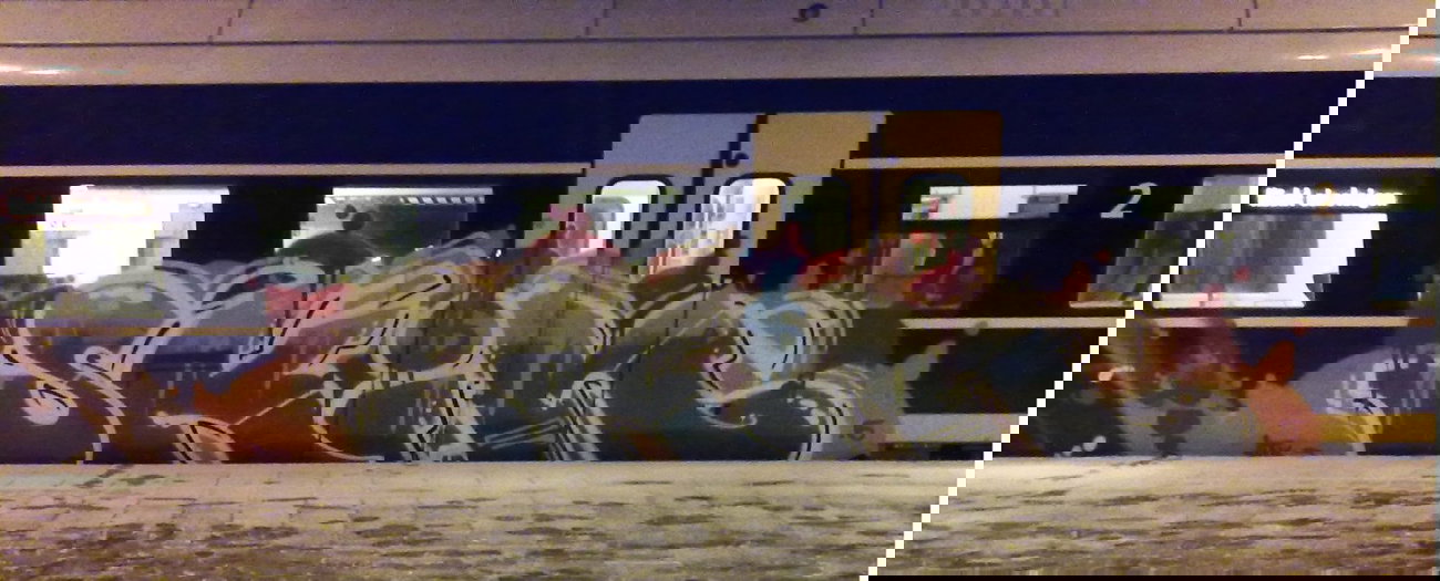 Graffiti Train - Photo by ZUGZWANG - skin, bremerhaven, 27 (2015)