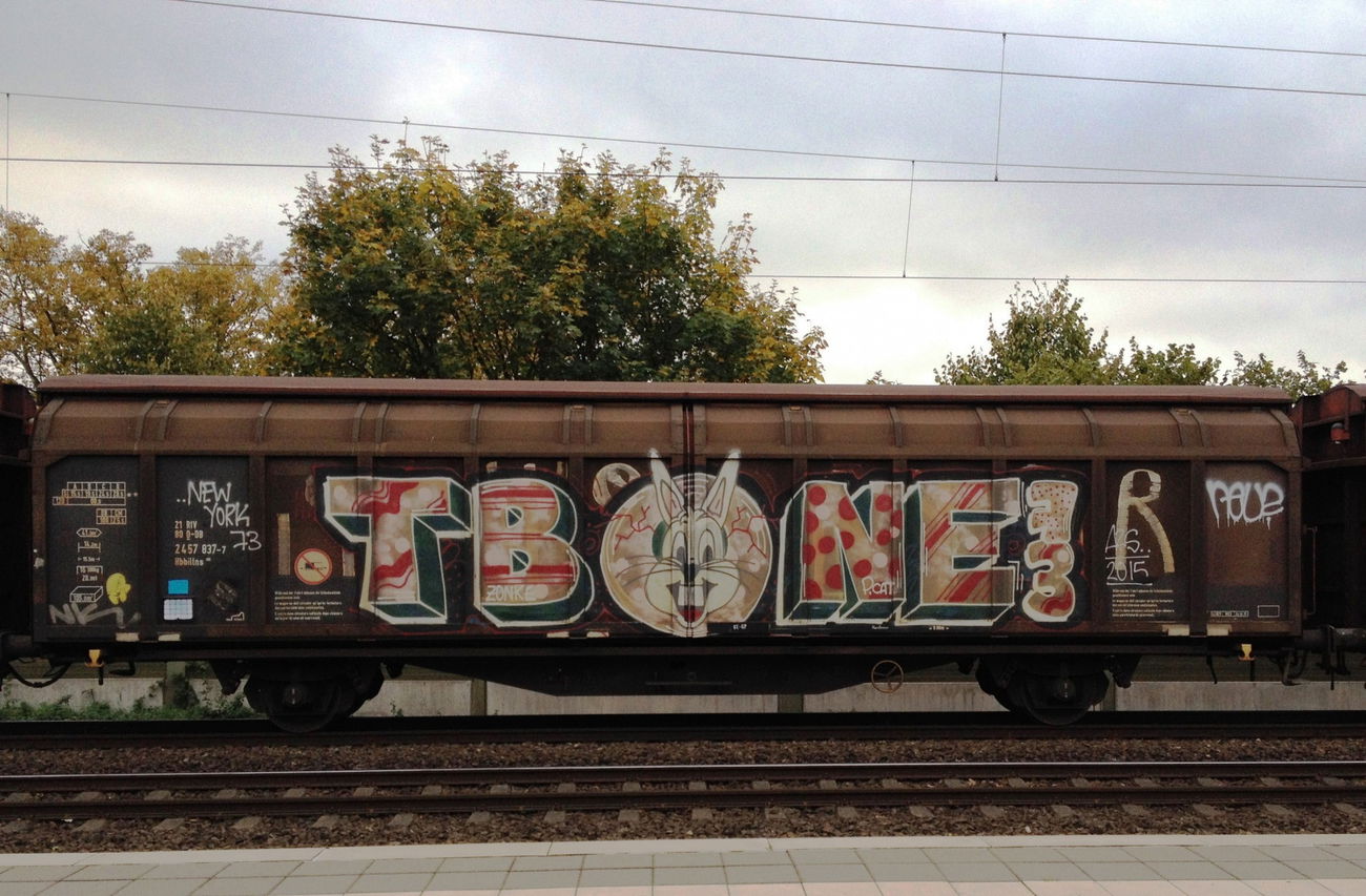 Graffiti Train - Photo by ZUGZWANG - tbone