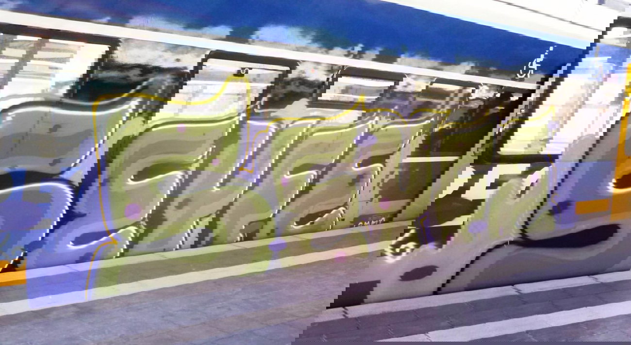 Graffiti Train - Photo by ZUGZWANG - seyfe, saife, seife (2015)