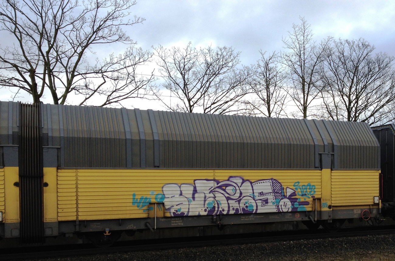 Graffiti Train - Photo by ZUGZWANG - burns