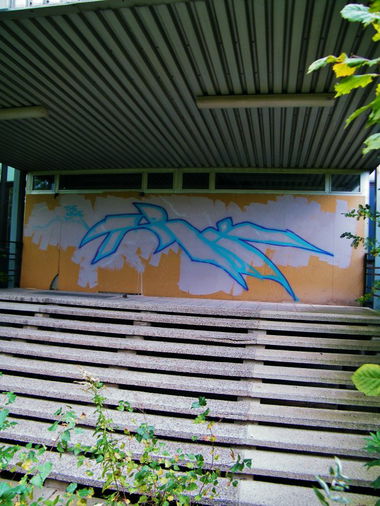 Graffiti Bombing - Photo by ZURE - OSF, CFF, DNB (2012)
