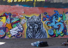 Graffiti Wall - Photo by ZWACE - HUS (2021)