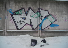 Photo #140541 by ZPScrew