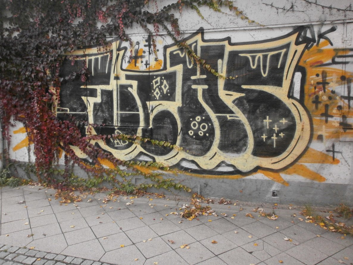 Graffiti Bombing in Lübeck - Photo by Zane_one - fuchs, as, lübeck