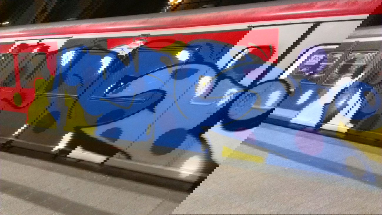 Graffiti Train in Hamburg - Photo by Zane_one - Taps, moses, tm (2013)