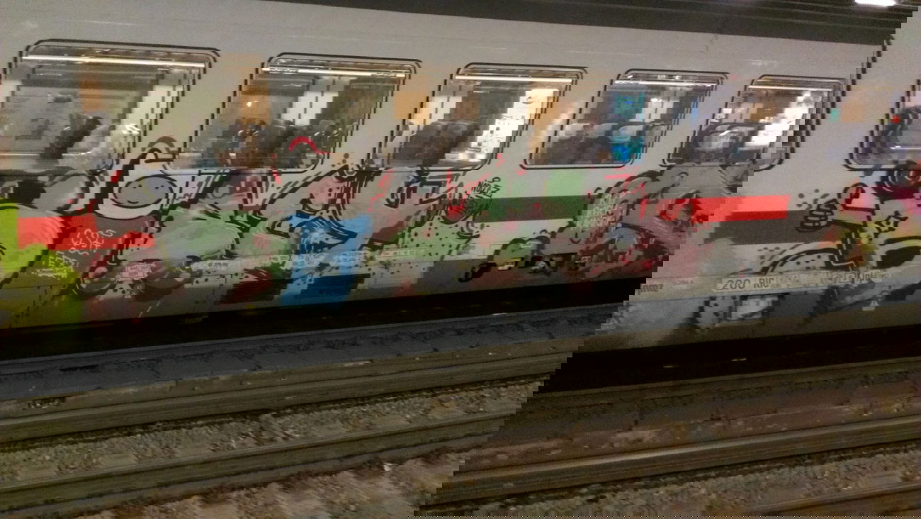 Graffiti Train in Hamburg - Photo by Zane_one - bibey (2013)