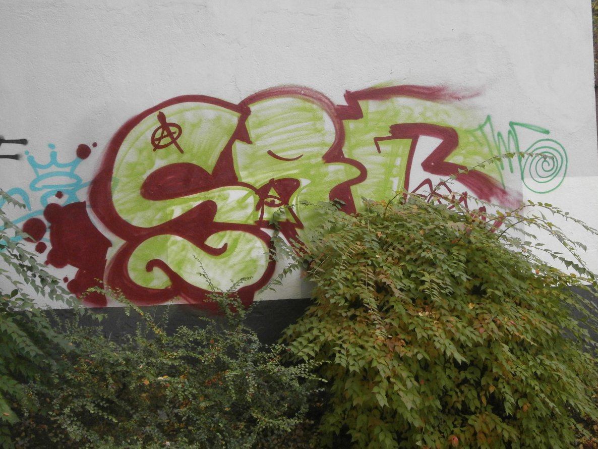 Graffiti Wall - Photo by Zane_one - srf (2013)