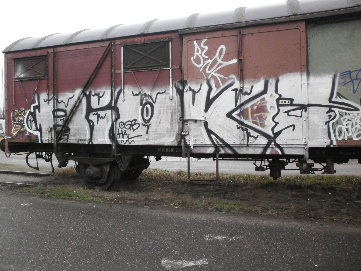 Graffiti Train in Hamburg - Photo by Zane_one - Biok (2014)