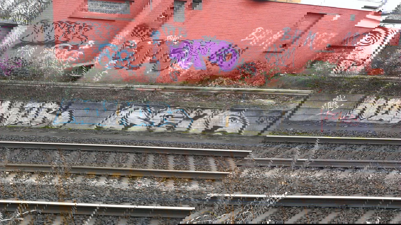 Graffiti Bombing - Photo by Zane_one - Qms, wka, Reik