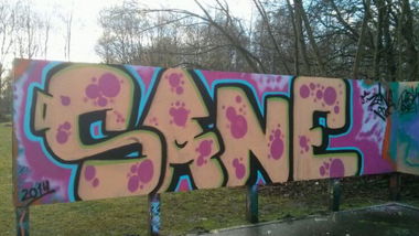 Graffiti Wall - Photo by Zane_one - sane (2014)