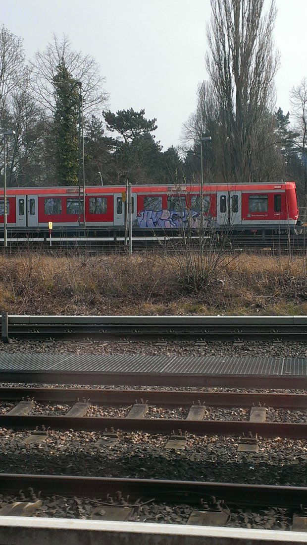 Graffiti Train in Hamburg - Photo by Zane_one - brick (2014)