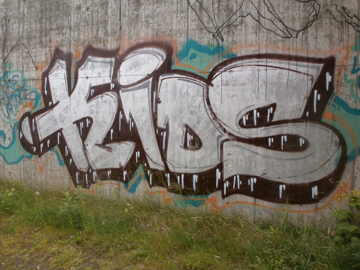 Graffiti Wall in Hamburg - Photo by Zane_one - kids (2012)