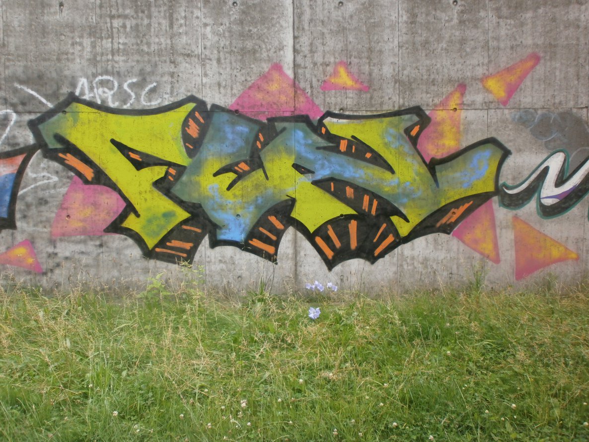 Graffiti Wall in Hamburg - Photo by Zane_one - Feal (2012)