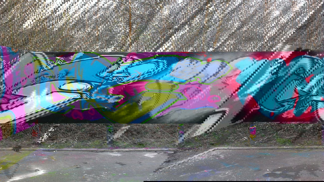 Graffiti Wall - Photo by Zane_one - nybe, brd, pral (2014)