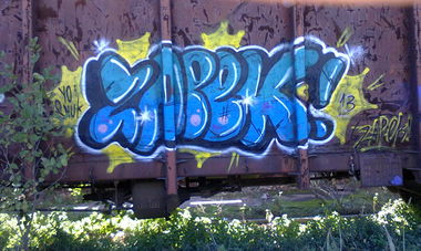 Graffiti Train - Photo by Zapek