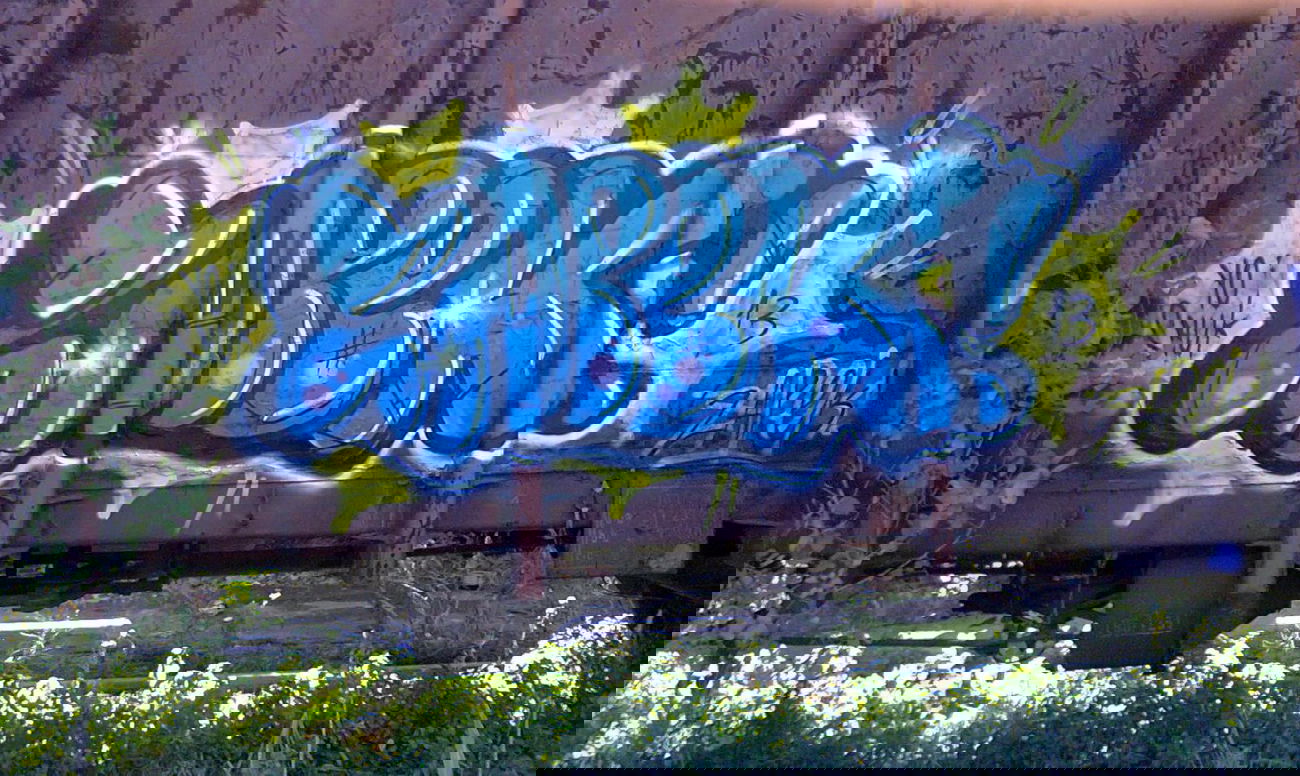 Graffiti Train - Photo by Zapek