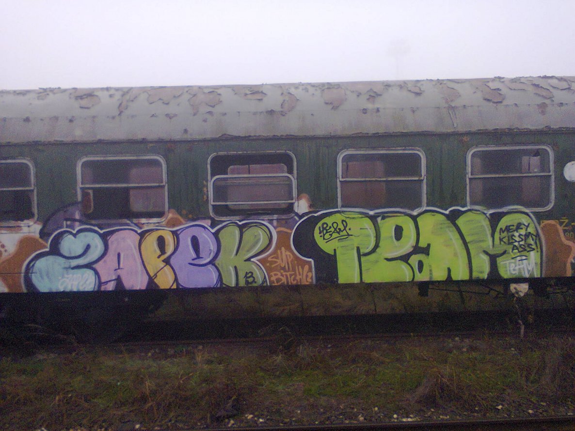 Graffiti Train - Photo by Zapek - zapek, team (2013)