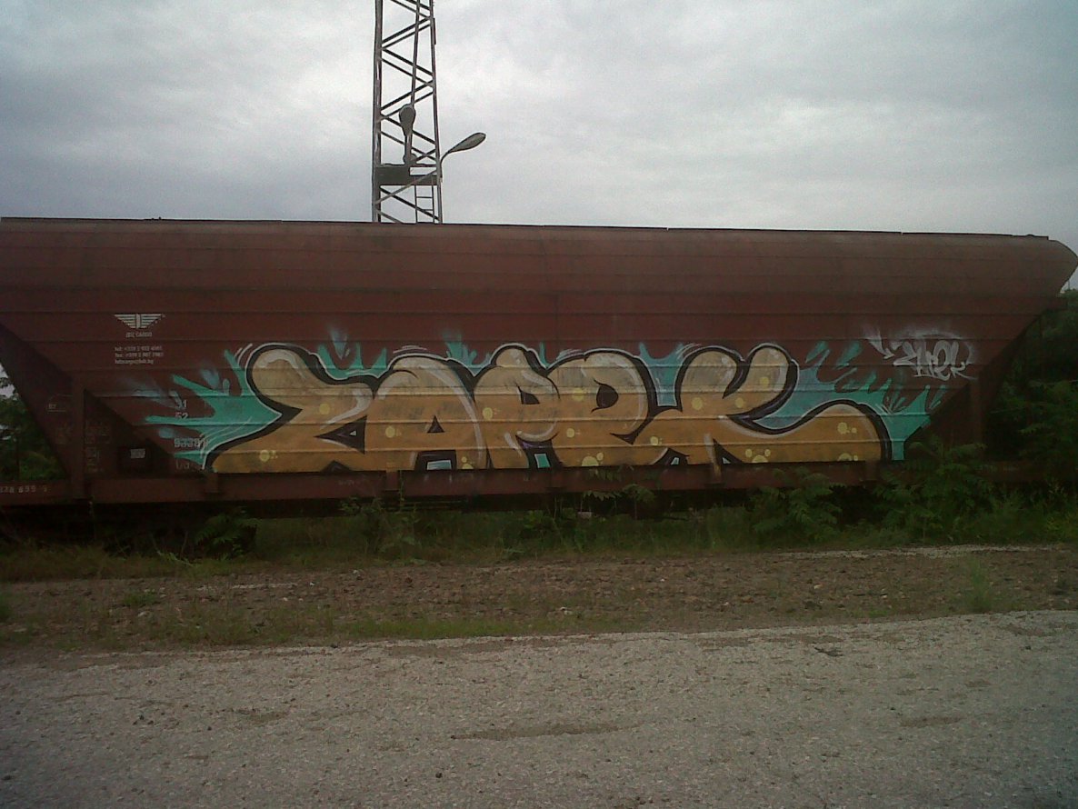 Graffiti Train - Photo by Zapek (2014)