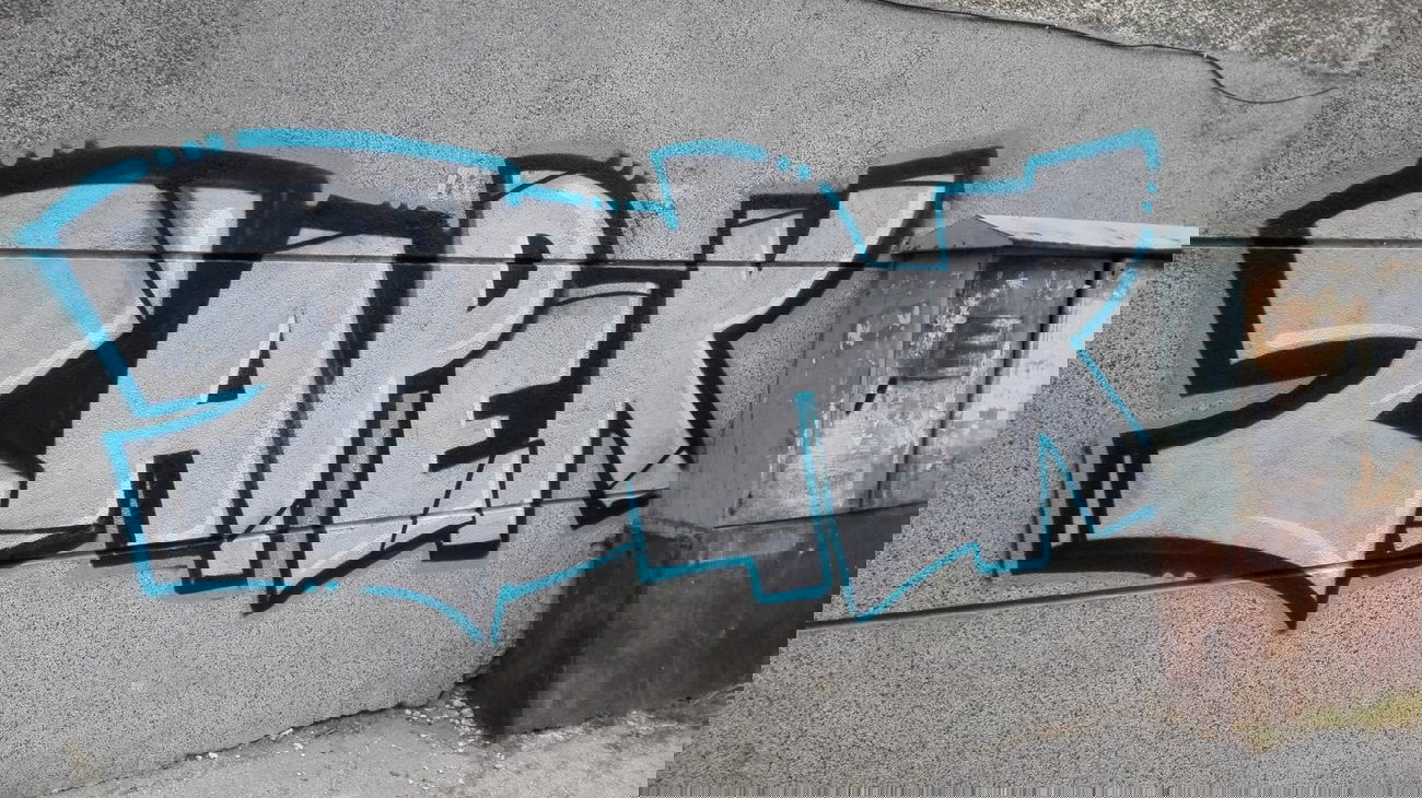 Graffiti Bombing - Photo by Zapek