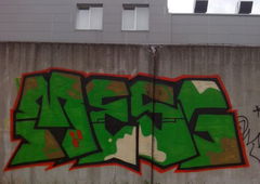 Photo #113247 by tgs