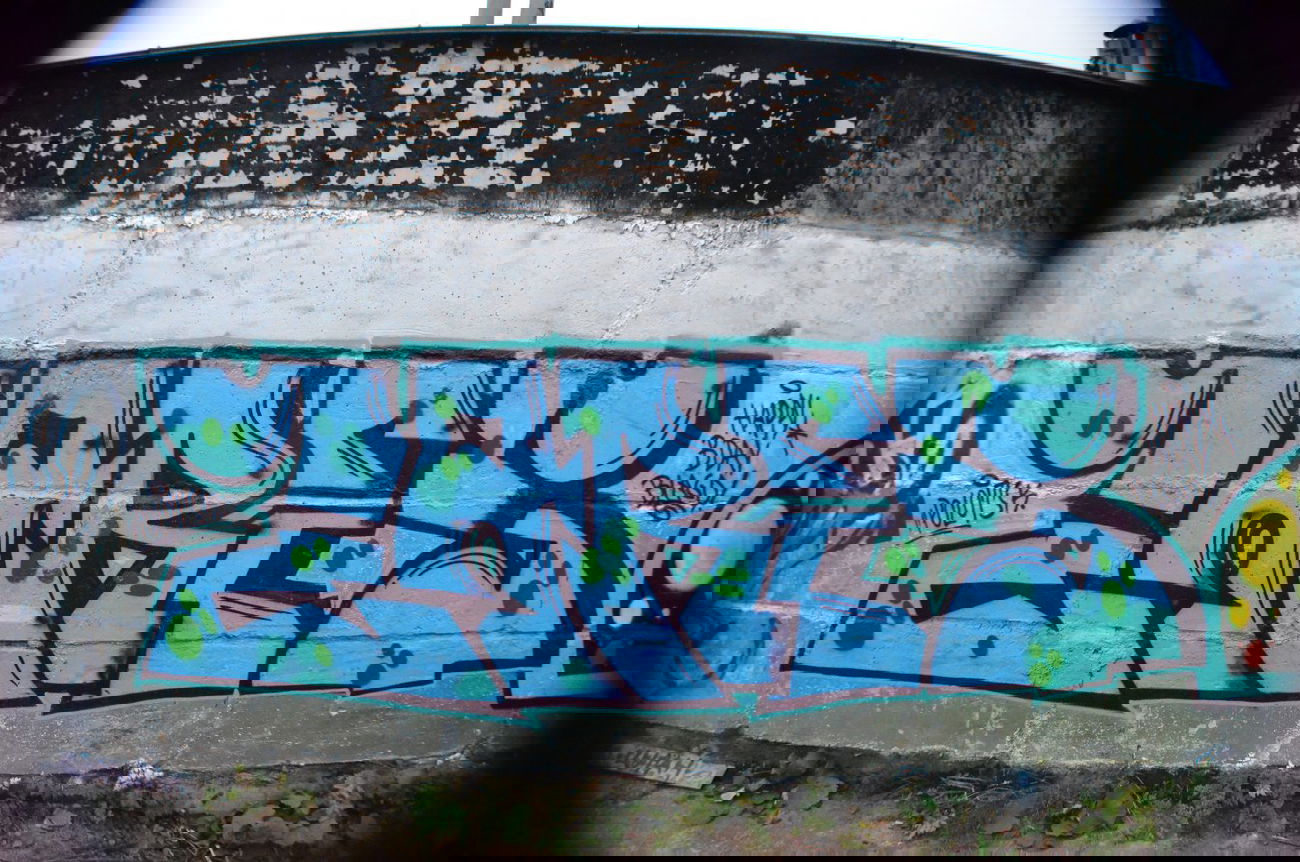 Graffiti Wall - Photo by Zares - 2014, Zares, Fsal (2014)