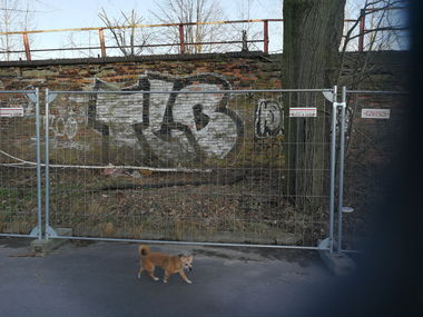 Graffiti Wall - Photo by Zecke247 - TLB