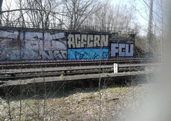 Photo #230747 by Leeef