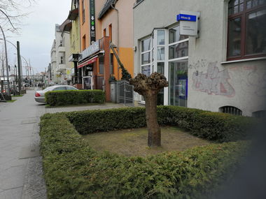 Graffiti Wall - Photo by Zecke247 - chio, restinpaint