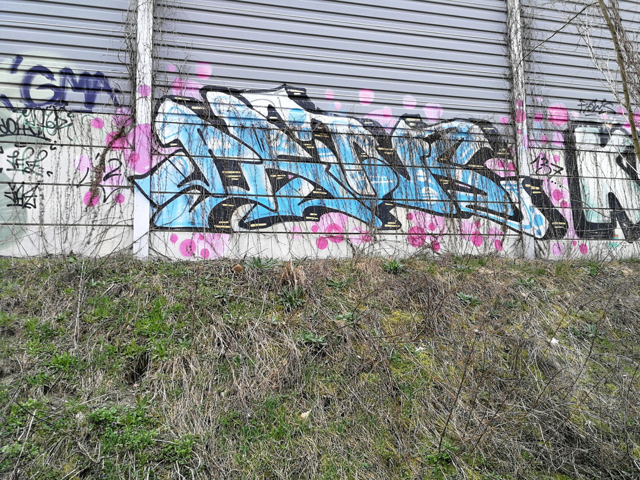 Graffiti Wall in BERLIN  - Photo by Zecke247 - prins, 137, Berlin