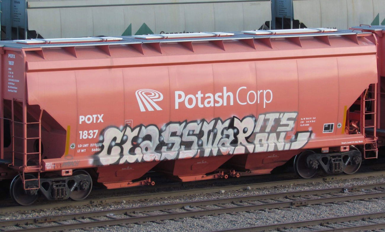 Graffiti Train - Photo by Zecke247