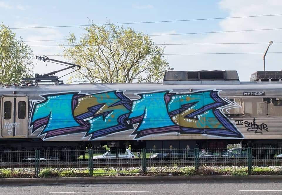 Graffiti Train - Photo by Zecke247 - 1312