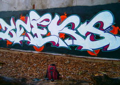 Photo #67367 by Belt