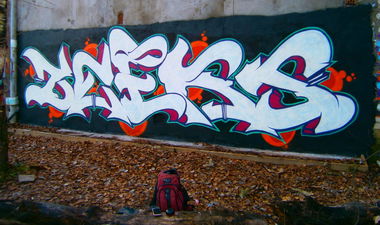 Graffiti Wall - Photo by Zeeks - Zeeks, Zixs, Zix (2013)