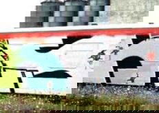 Photo #90673 by Belt